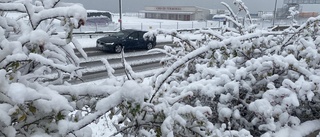 Rejält snötäcke över Gotland • Så länge blir det vita kvar