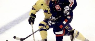 Miroslav Skovira - ett namn för Luleå Hockey