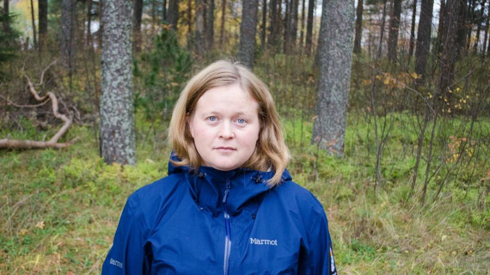 Okunskap. Josefine Strand vid länsstyrelsen i Norrbotten tror att det är av okunskap om gällande regler som många kör terrängfordon i skogen.