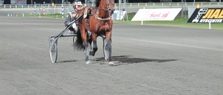 Elithästen gjorde sitt på Bodentravet