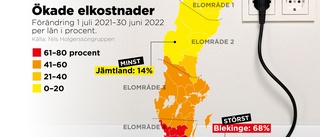 Elprischocken väntas sprida sig