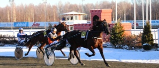 Nytt hattrick av lärlingen