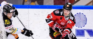 Fyra från länet gick upp i SHL