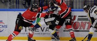 Publikmatch direkt för Piteå Hockey