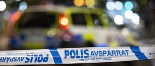 Tonåring misshandlad med sten – flera jagas