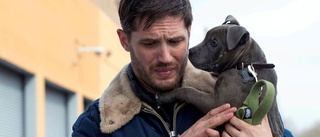 Tom Hardy briljerar...