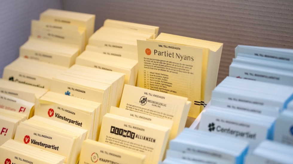Partiet Nyans partisekreterare vill ha omval i Göteborgs kommunval. Arkivbild.