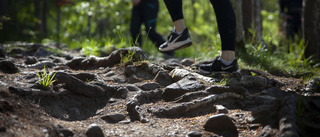 Inga nya vandringsleder märks ut i Vadstena