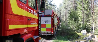 Eftersläckning av skogsbrand på Berkön