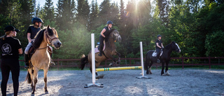 Nybörjartävling väcker hoppintresse