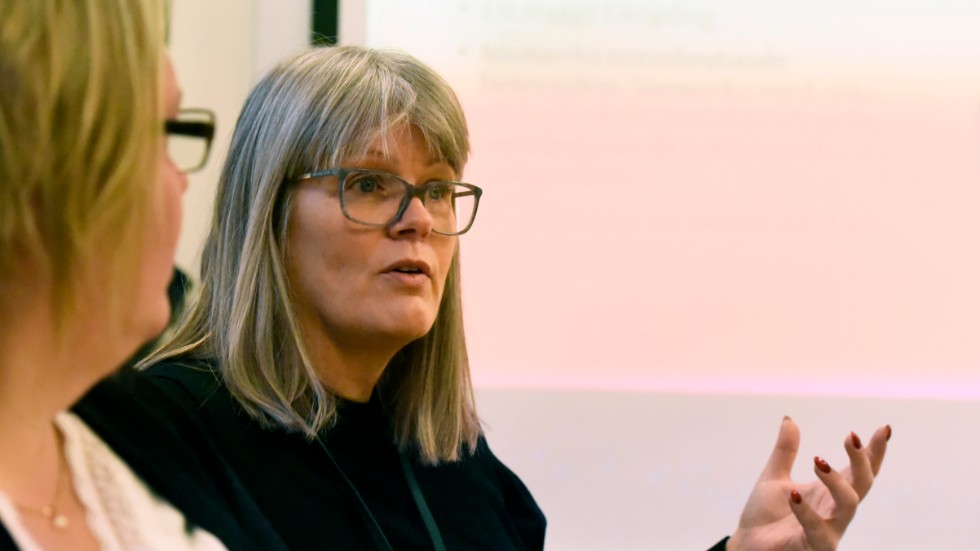 "Vi vill få ett område som inte har den stämpel som det har haft under ganska många år, sedan det blev ett andra chansen-projekt", säger Ulrika Jeansson (S).