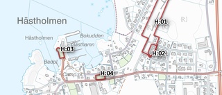 Kommunens plan för 100 nya bostäder