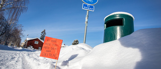 Det som döljs i snö kommer fram i tö