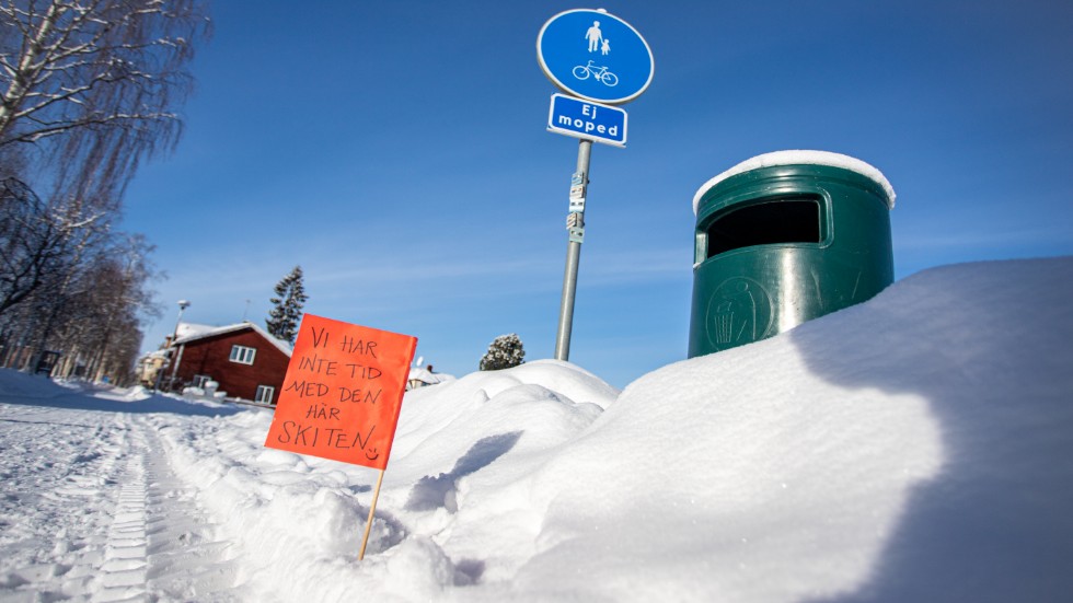Nu måste hundägarna ta sitt ansvar och plocka upp hundbajset, menar skribenten.  