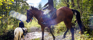 Differentierad moms snedvrider marknaden och politiken