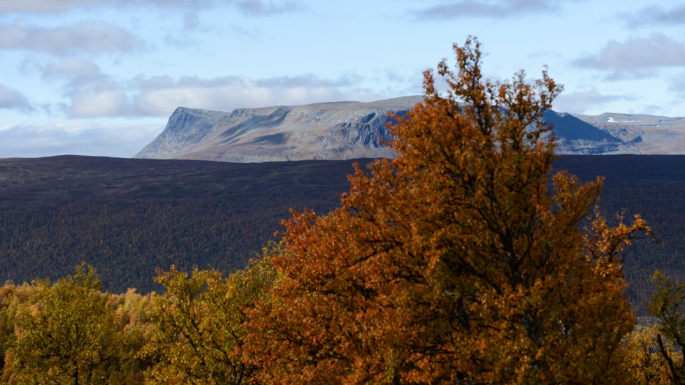 Fjällvärldens höstfärger lockar många turister. Men det är viktigt att förbereda sig på ostabilt väder, uppmanar fjällräddarna.Arkivbild.