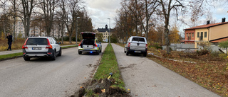 Körde in i lyktstolpe och träd