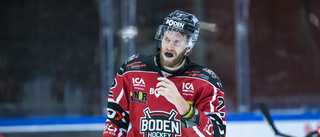 Boden Hockey förlänger med trotjänaren: "Ett självklart beslut"