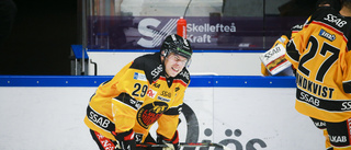 Luleå Hockey-kaptenens nya besked om skadan