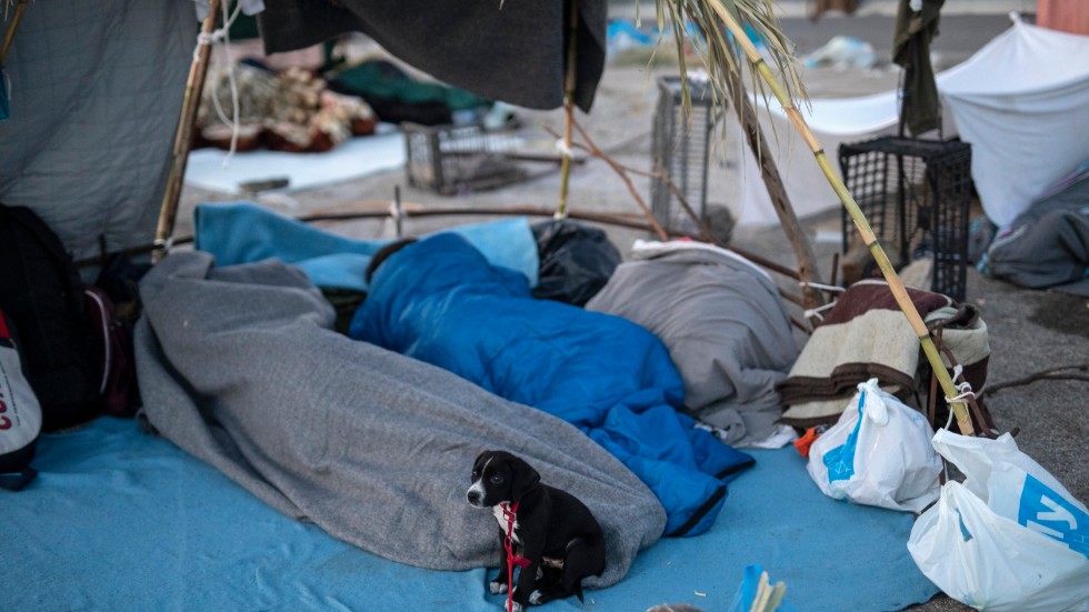 Migranter sover utomhus efter att lägret Moria på den grekiska ön Lesbos eldhärjades i höstas.