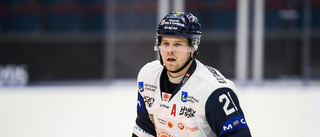 Här är VIK:s lag i matchen mot HV71