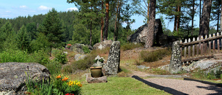 Solberget – taklökarnas himmelrike