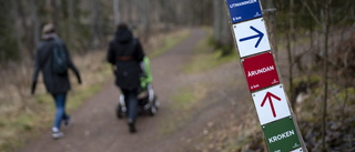 Vår nya vurm för skog och mark utmanar naturen