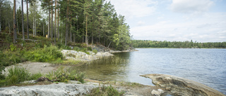 Nynäs naturreservat ombildat – och överklagat