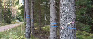 Familjeskogsbruk slås i spillror runt om i landet