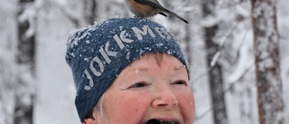 Lappmes i en naturlig huvudroll