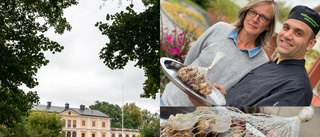 Sniglar ska förgylla Säfstaholms slotts invigning