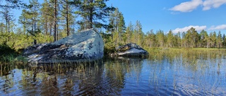 "Det samiska kulturarvet ska tillbaka till Sápmi"