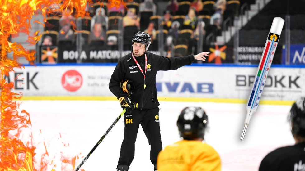 Stefan Hedlund
