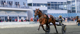 Tungviktsfavorit i repris på Bodentravet