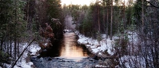 Läsarbild av Marina Ohls: Kvarnbäcken i Jokkmokk