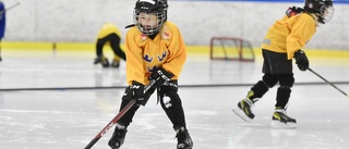 Skridskoteknik, lek och leenden – i tjejernas egen hockeyskolegrupp: ”Jätteviktigt”