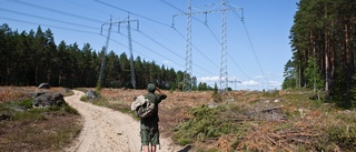 Med nedgrävd kabel till SSAB vinner miljön och klimatet