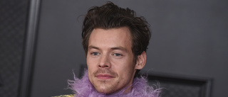 Läs en universitetskurs om Harry Styles