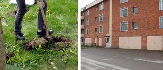 "Jag skulle med glädje flytta till Bastugatan"