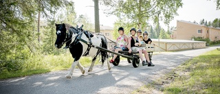 Sommartipset: Kramar och klappar på Lilla Lyckan