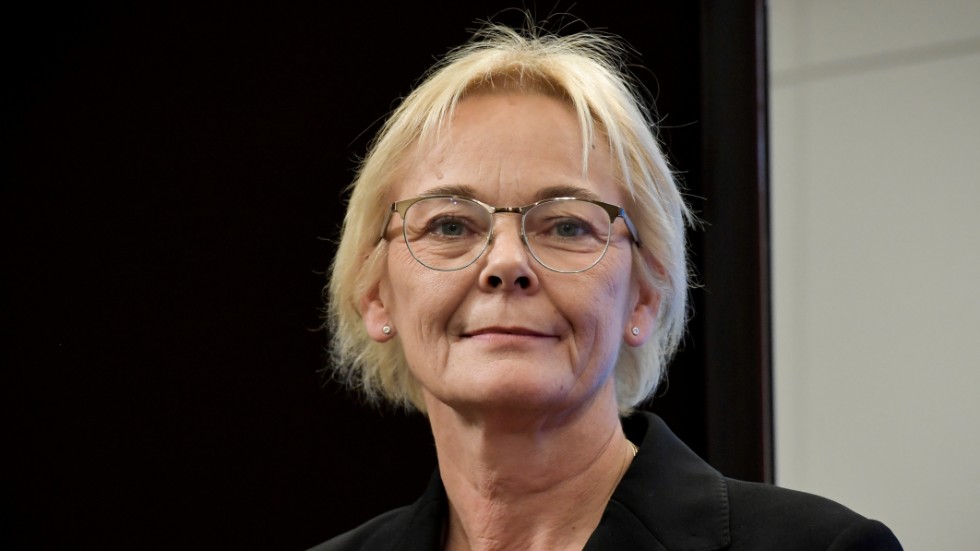 "Det här är det område där andra industrier ligger och därför är det positivt om vi får till stickspår dit", säger Ewa Thalén Finné, ordförande i miljö- och samhällsbyggnadsnämnden i Strängnäs kommun.