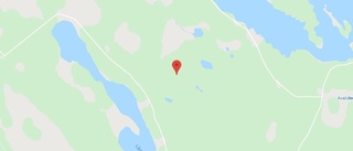 Ägarbyte för skogsmark i Norsjö kommun