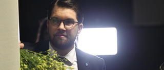 Ett stort och vanskligt steg för Jimmie Åkesson