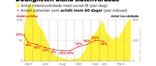 Trycket avgör hur många som dör på iva