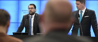 SD vill att ny regering utreder krav för bidrag