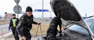 Tullhundarna Boy och Loki luktar sig till narkotika