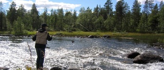 Fisketurismen ökar – Skapar en digital fiskekarta