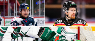 Brendan Shinnimin fälls för filmning • SHL-trio bötfälld efter torsdagens matcher