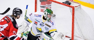 Storseger för Piteå Hockey