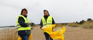 Tappra städare på Strandens dag